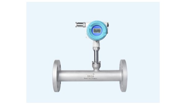 怎么选热式气体质量流量计